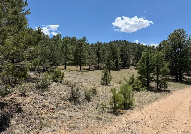 39th image of 477 Bear Peak Rd, Westcliffe, CO 81252 | MLS# 8779280