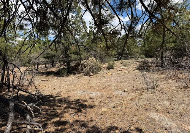 4th image of 477 Bear Peak Rd, Westcliffe, CO 81252 | MLS# 8779280