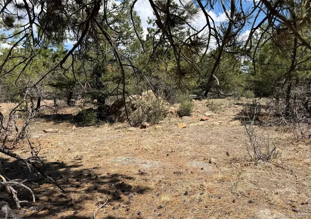 5th image of 477 Bear Peak Rd, Westcliffe, CO 81252 | MLS# 8779280