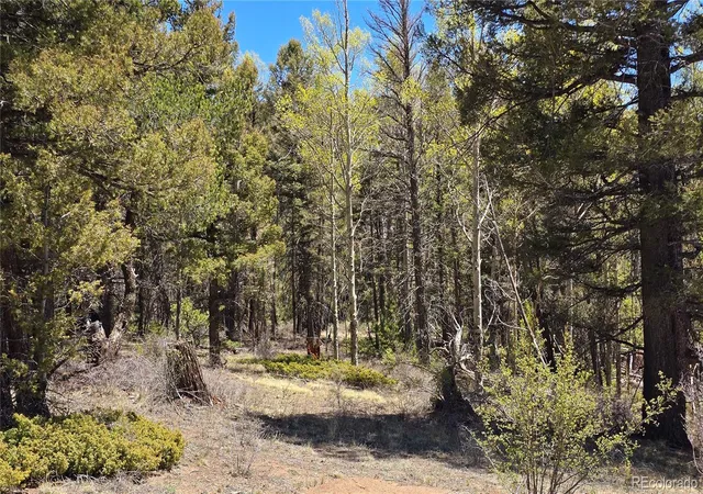Photo 3 of Sale Pending at Lots 5817 & 5818 Balleroy & Covington Rd, Fort Garland, CO 81133 | MLS# 7548112 | Listing updated on 2026-09-18