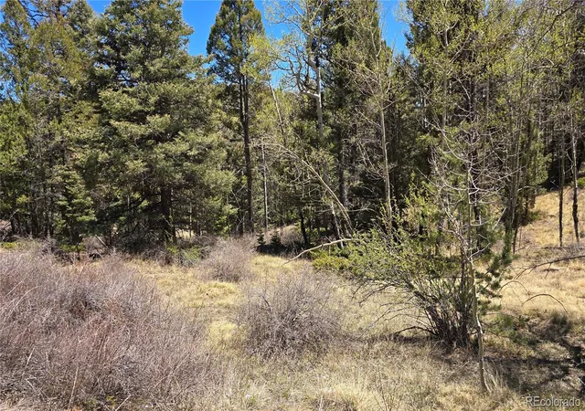 Photo 5 of Land for sale at Lots 5817 & 5818 Balleroy & Covington Rd, Fort Garland, CO 81133 | MLS# 7548112 | Listing updated on 2026-07-29