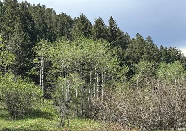 Photo 3 of Land for sale at S Maxwell Hl Rd, Littleton, CO 80127 | MLS# 6534614 | Listing updated on 2026-09-01