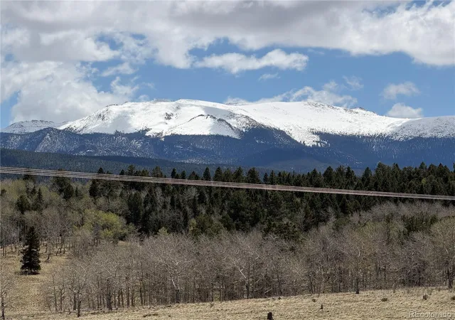3rd image of 538 Friar Tuck Dr, Divide, CO 80814 | MLS# 5449618
