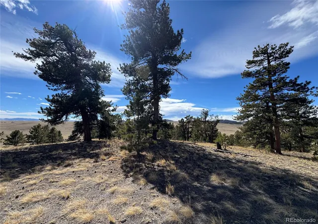 Homes for sale in Jefferson, CO | 62 Powder Wy, Jefferson, CO 80456 | MLS# 2360651