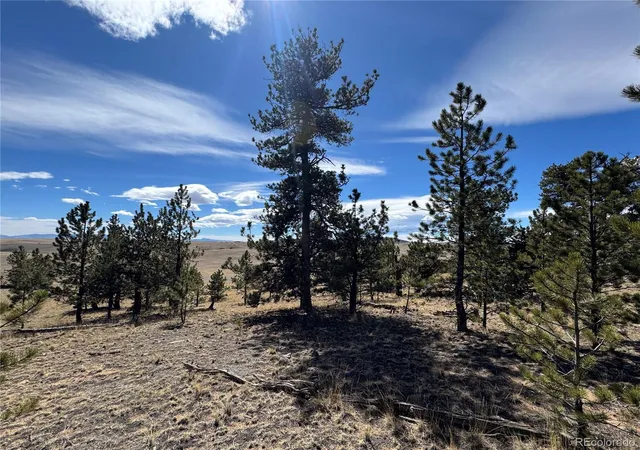 Homes for sale in Jefferson, CO | 62 Powder Wy, Jefferson, CO 80456 | MLS# 2360651