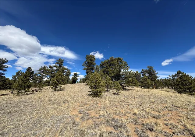 Homes for sale in Jefferson, CO | 62 Powder Wy, Jefferson, CO 80456 | MLS# 2360651