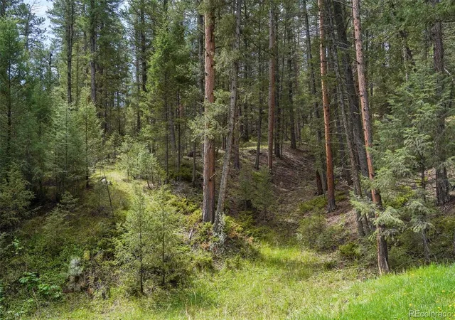 Homes for sale in Sedalia, CO | 1424 High Dr, Sedalia, CO 80135 | MLS# 3463232