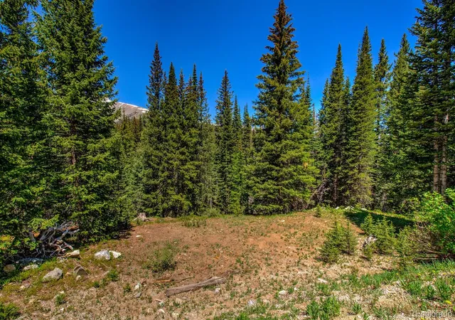 Homes for sale in Breckenridge, CO | 0307 Cr 674, Breckenridge, CO 80424 | MLS# 3108510