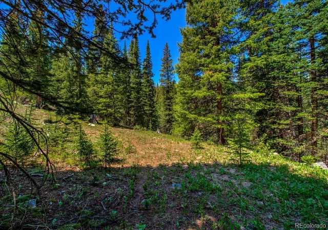 Homes for sale in Breckenridge, CO | 0307 Cr 674, Breckenridge, CO 80424 | MLS# 3108510