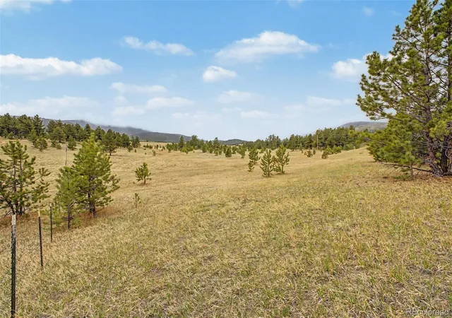 Homes for sale in Florissant, CO | Ranger Station Rd, Florissant, CO 80816 | MLS# 6387989