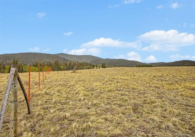 Homes for sale in Florissant, CO | Ranger Station Rd, Florissant, CO 80816 | MLS# 6387989