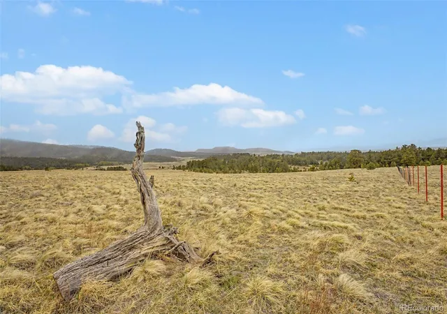 Homes for sale in Florissant, CO | Ranger Station Rd, Florissant, CO 80816 | MLS# 6387989