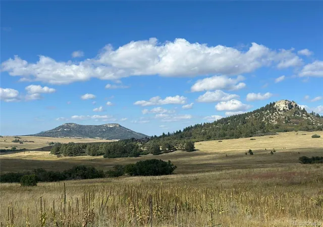 3rd image of 100 W Noe Rd, Larkspur, CO 80118 | MLS# 9221524