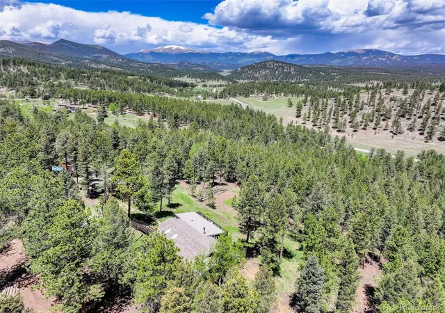 Homes for sale in Bailey, CO | 539 S Random Rd, Bailey, CO 80421 | MLS# 1681047