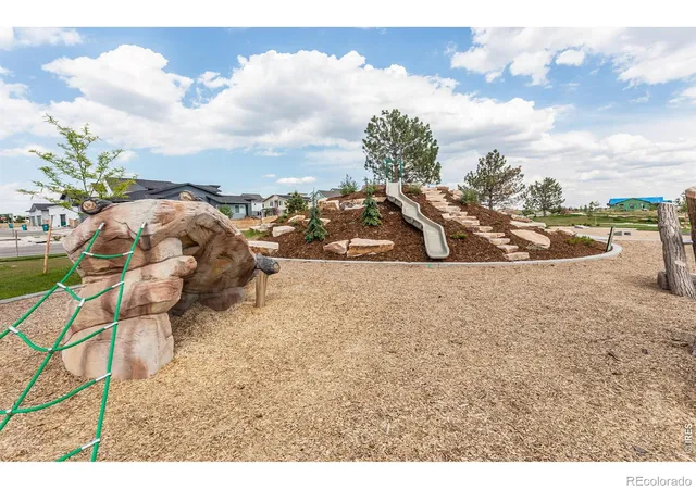 47th image of 5473 Drehle St, Timnath, CO 80547 | MLS# IR1059514