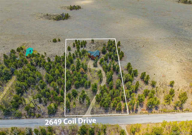 Homes for sale in Fairplay, CO | 2649 Coil Dr, Fairplay, CO 80440 | MLS# 5082948