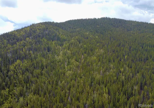 Homes for sale in Idaho Springs, CO | 000 Hidden Wilderness Rd, Idaho Springs, CO 80452 | MLS# 7177555