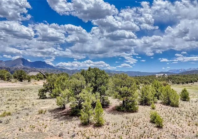Homes for sale in Nathrop, CO | 10119 Rawhide Creek Rd, Nathrop, CO 81236 | MLS# 8330683