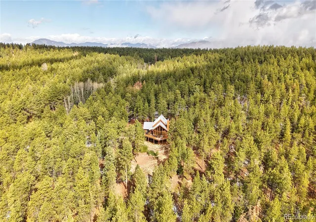 43rd image of 3613 Trail Creek Rd, Florissant, CO 80816 | MLS# 6500021