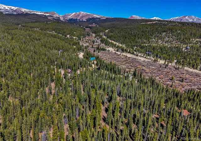 Homes for sale in Fairplay, CO | 880 Gold Pan Ln, Fairplay, CO 80440 | MLS# 4329999