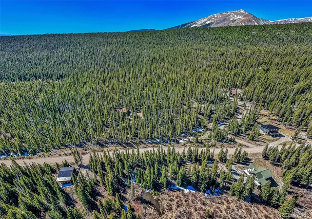 Homes for sale in Fairplay, CO | 880 Gold Pan Ln, Fairplay, CO 80440 | MLS# 4329999