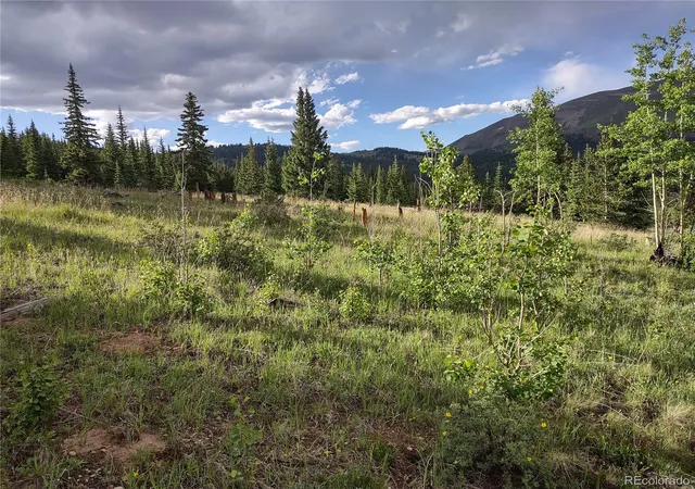 4th image of 0 Snow Cap Peaks Rd, Alma, CO 80402 | MLS# 7578137