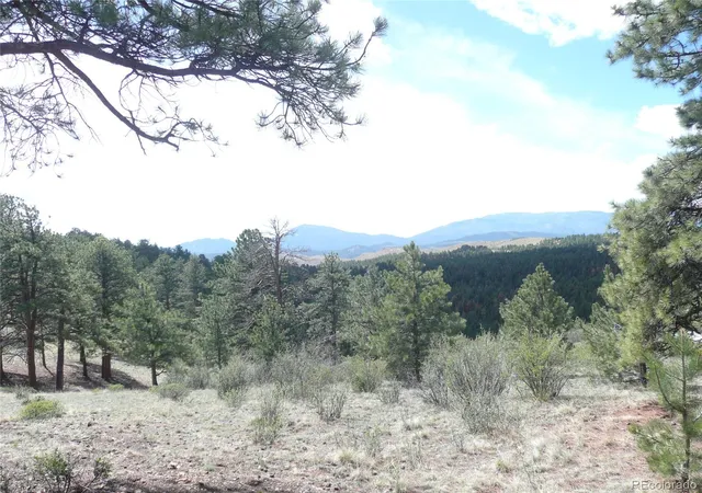 Homes for sale in Pine, CO | 13694 Drake Ct, Pine, CO 80470 | MLS# 7322408