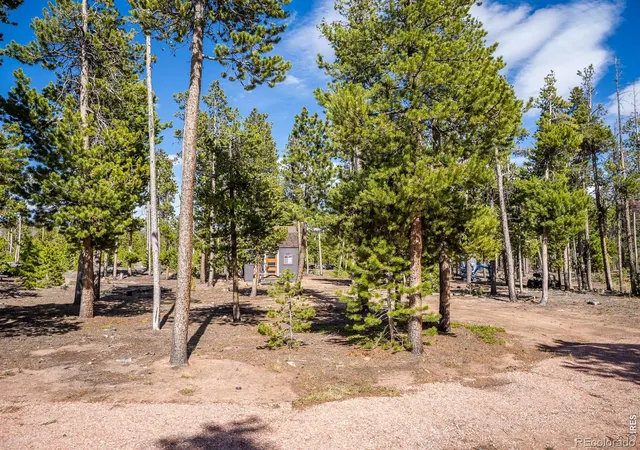 Homes for sale in Red Feather Lakes, CO | 297 Manso Wy, Red Feather Lakes, CO 80545 | MLS# IR1059660