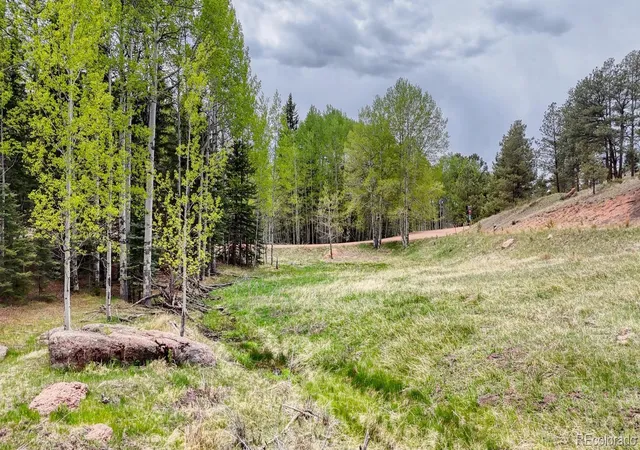 Homes for sale in Florissant, CO | 42 Rabbit Cir, Florissant, CO 80816 | MLS# 6875950