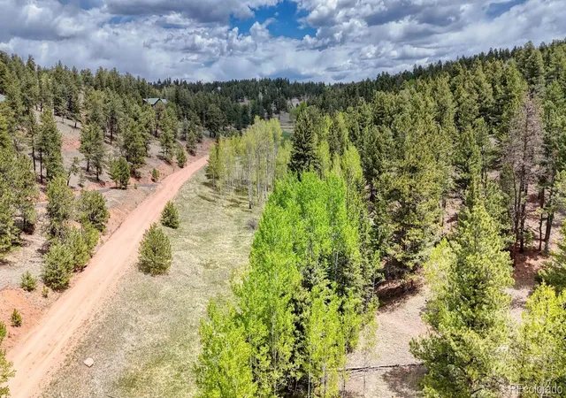 Homes for sale in Florissant, CO | 42 Rabbit Cir, Florissant, CO 80816 | MLS# 6875950