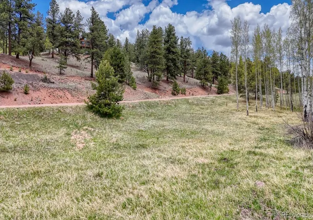 Homes for sale in Florissant, CO | 42 Rabbit Cir, Florissant, CO 80816 | MLS# 6875950