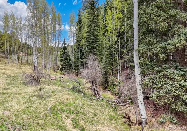 Homes for sale in Florissant, CO | 42 Rabbit Cir, Florissant, CO 80816 | MLS# 6875950