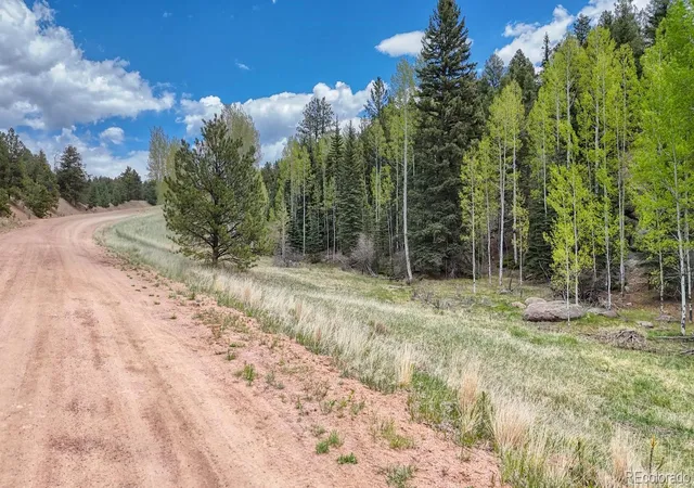 Homes for sale in Florissant, CO | 42 Rabbit Cir, Florissant, CO 80816 | MLS# 6875950