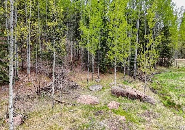 Homes for sale in Florissant, CO | 42 Rabbit Cir, Florissant, CO 80816 | MLS# 6875950