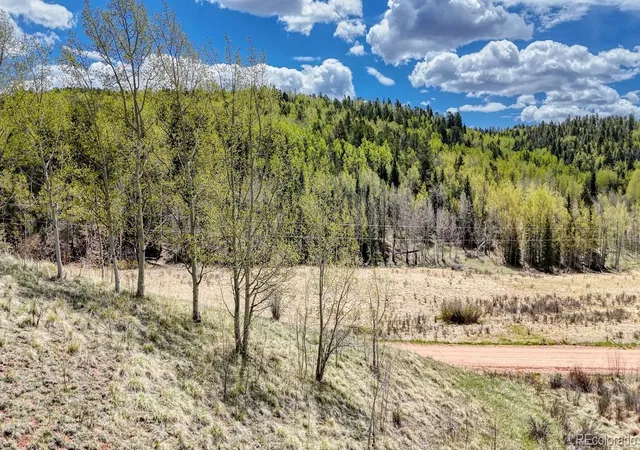 Homes for sale in Cripple Creek, CO | 2031 Gold King Dr, Cripple Creek, CO 80813 | MLS# 2971547