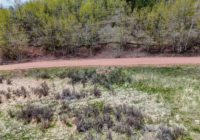Homes for sale in Cripple Creek, CO | 2031 Gold King Dr, Cripple Creek, CO 80813 | MLS# 2971547
