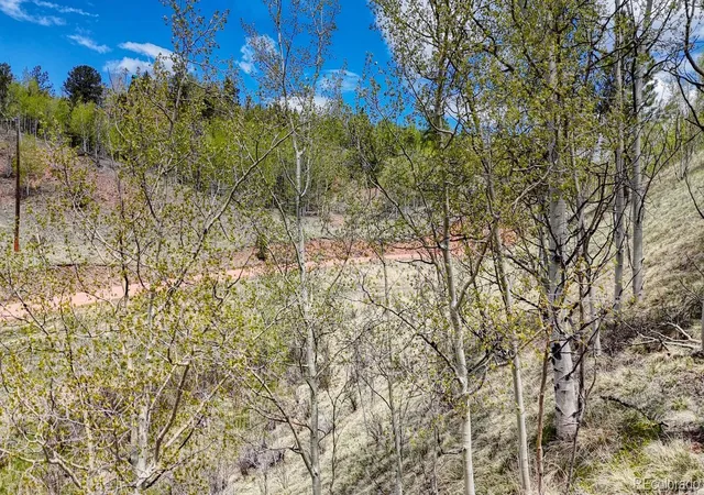 Homes for sale in Cripple Creek, CO | 2031 Gold King Dr, Cripple Creek, CO 80813 | MLS# 2971547