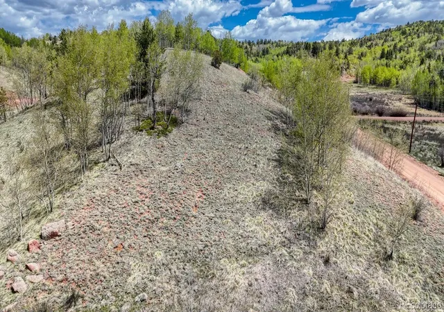Homes for sale in Cripple Creek, CO | 2031 Gold King Dr, Cripple Creek, CO 80813 | MLS# 2971547