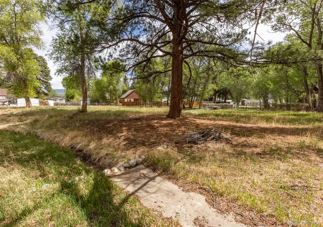Homes for sale in Buena Vista, CO | N Sangre De Cristo Ave, Buena Vista, CO 81211 | MLS# 4160219