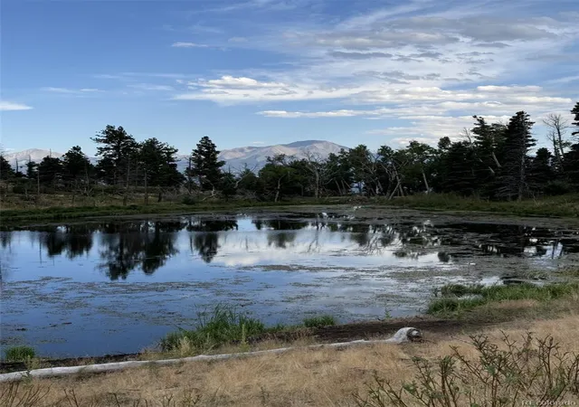 4th image of 6861 Us Hwy 160, La Veta, CO 81055 | MLS# 2931301