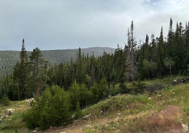 2nd image of 540 Elkridge Rd, Red Feather Lakes, CO 80545 | MLS# IR1059776