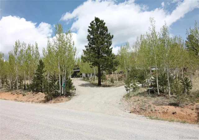 Homes for sale in Bailey, CO | 388 Clark Rd, Bailey, CO 80421 | MLS# 3893198