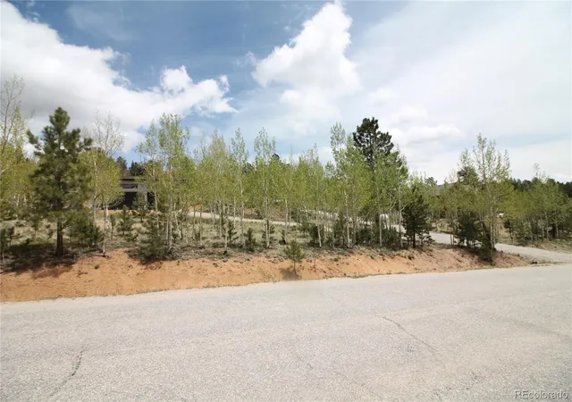 Homes for sale in Bailey, CO | 388 Clark Rd, Bailey, CO 80421 | MLS# 3893198