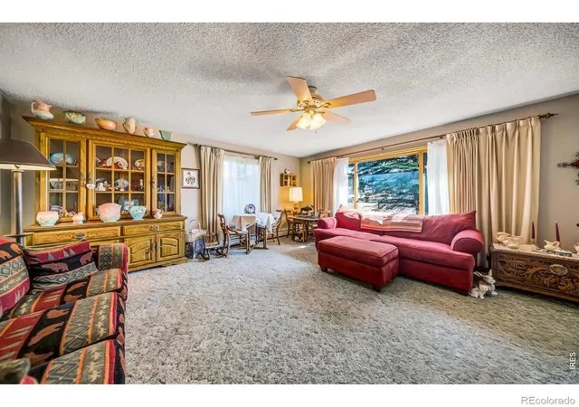 31st image of 672 Garfield St, Walden, CO 80480 | MLS# IR1059798