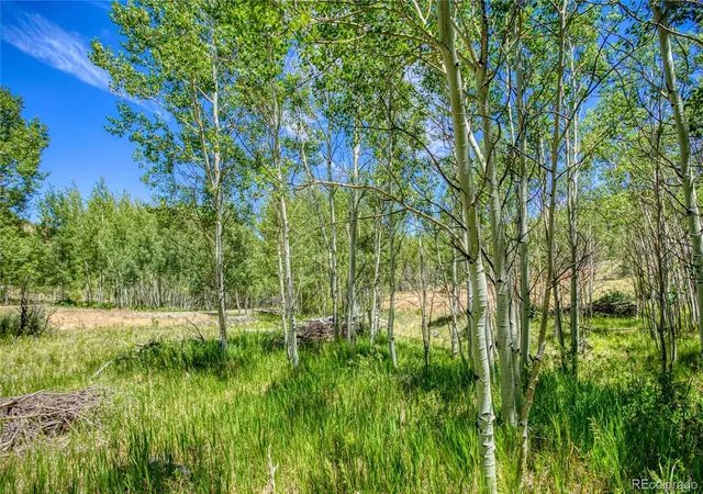 Photo 1 of Land for sale at 302 Rickel Cir, South Fork, CO 81154 | MLS# 4385009 | Listing updated on 2026-07-22