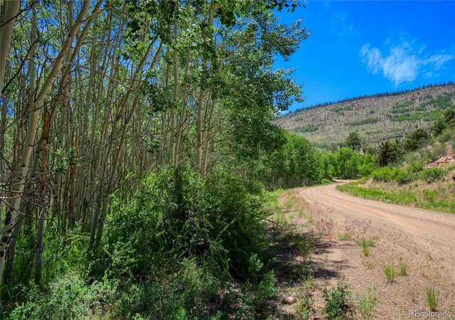 Photo 44 of Land for sale at 302 Rickel Cir, South Fork, CO 81154 | MLS# 4385009 | Listing updated on 2026-07-22