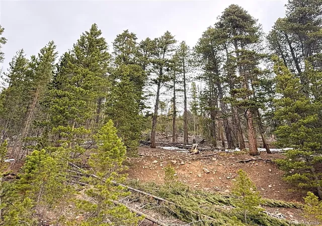 Homes for sale in Idaho Springs, CO | Lot 406 Glory Hole Rd, Idaho Springs, CO 80452 | MLS# 3910624