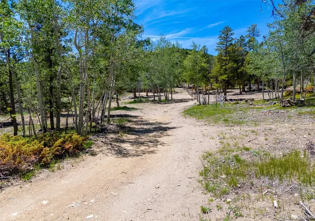 Homes for sale in Idaho Springs, CO | 719 Miners Candle Rd, Idaho Springs, CO 80452 | MLS# 3672698