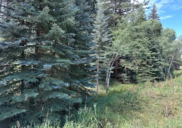 21st image of 6897 High Dr, Morrison, CO 80465 | MLS# 6083892