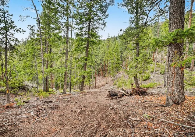 2nd image of 7141 Timber Trail Rd, Evergreen, CO 80439 | MLS# 2034537